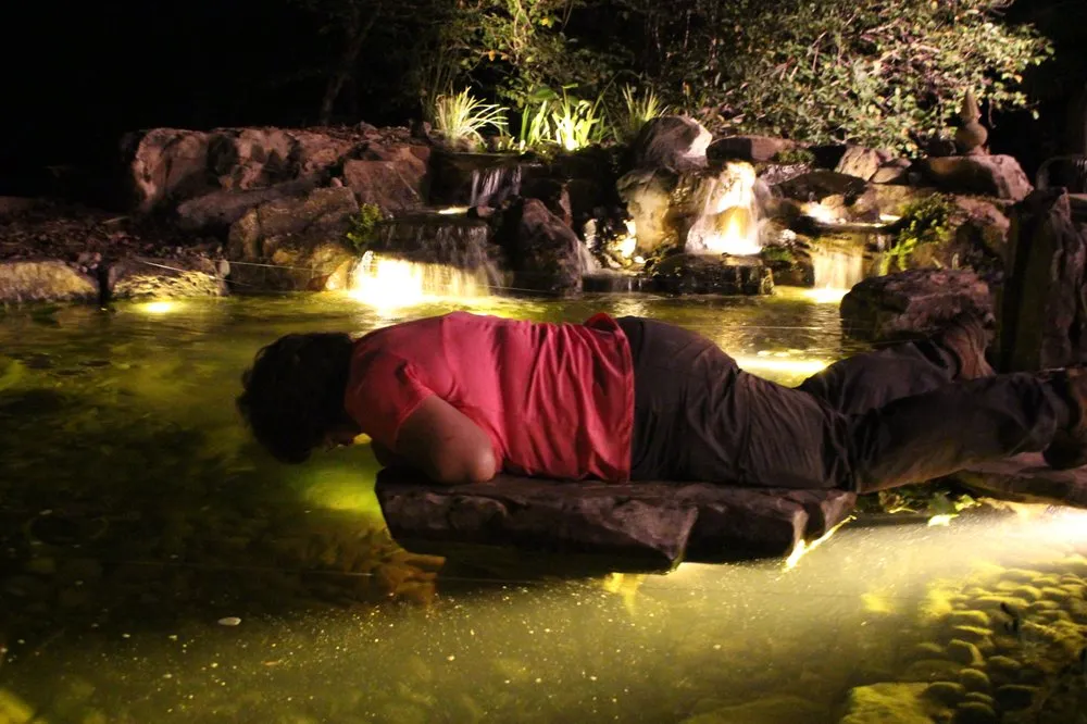 Expert lawn care service with custom design across Youngsville, NC - Springer Ponds and Water Gardens