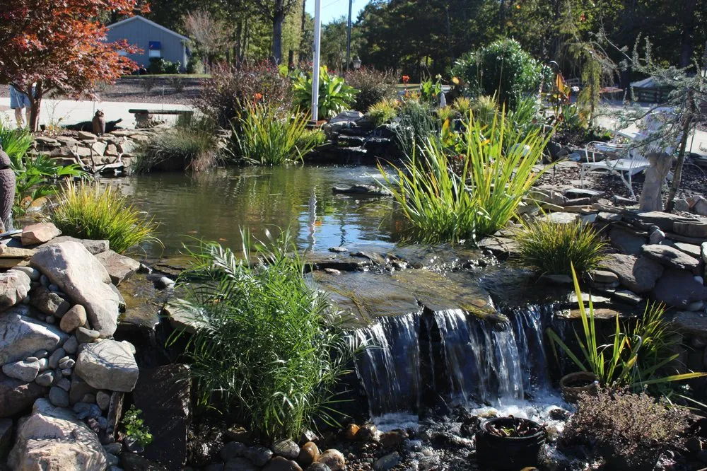 Local landscape installation experts serving Youngsville, NC - Springer Ponds and Water Gardens