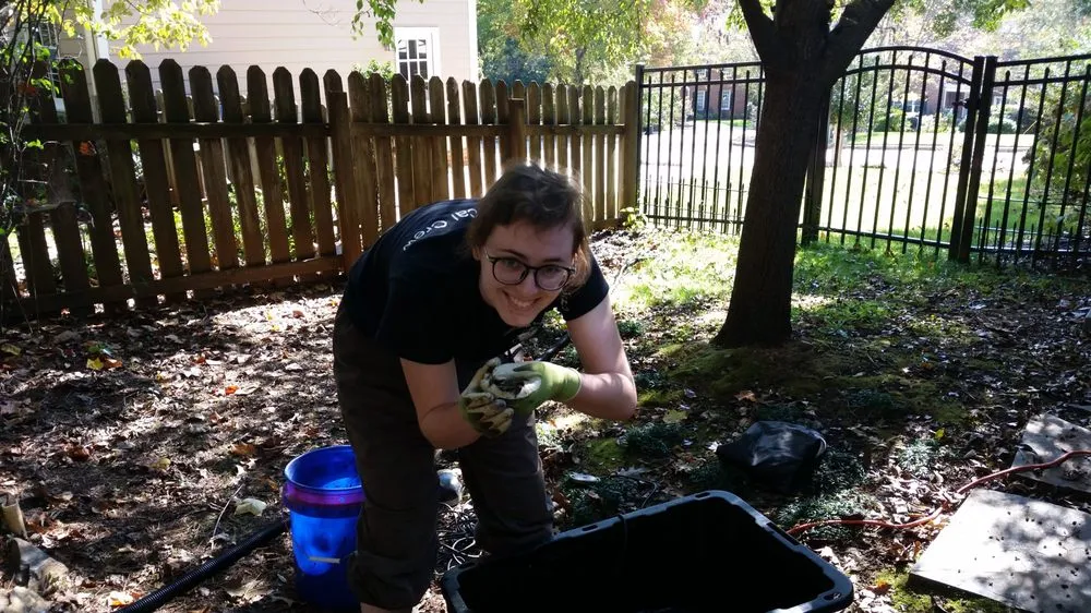 Affordable outdoor landscaping in Youngsville, NC - Springer Ponds and Water Gardens