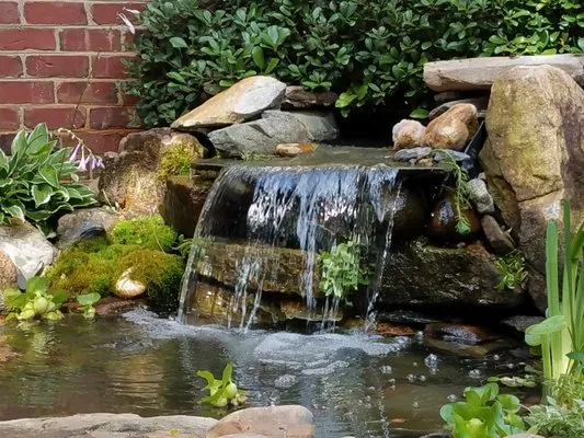 Springer Ponds and Water Gardens Logo