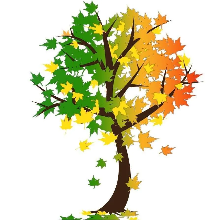 Expert outdoor landscaping for year-round maintenance in Central Point, OR by Springfall Landscape & Maintenance