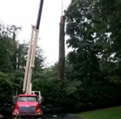 Expert outdoor landscaping for year-round maintenance across Lorton, VA - Springfield Lawn Service