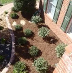 Custom yard maintenance in Lorton, VA - Springfield Lawn Service