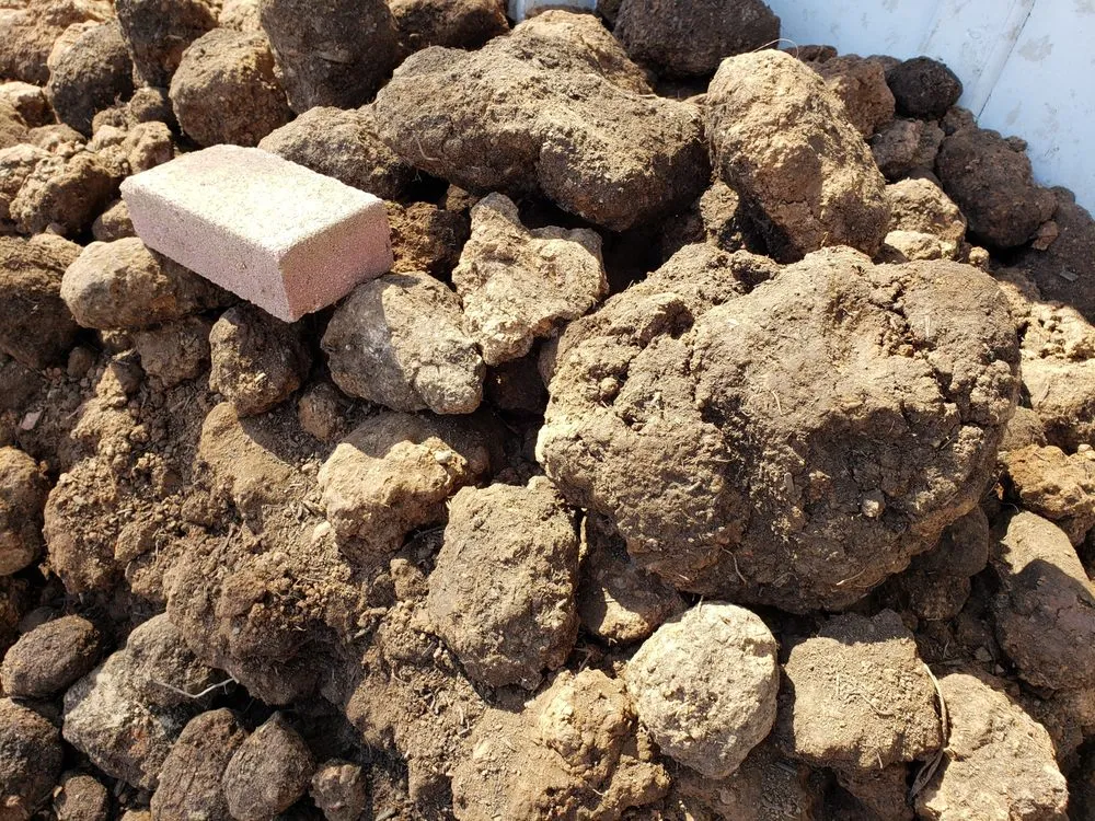 Professional residential landscaping in Springfield, VA - Springfield Topsoil