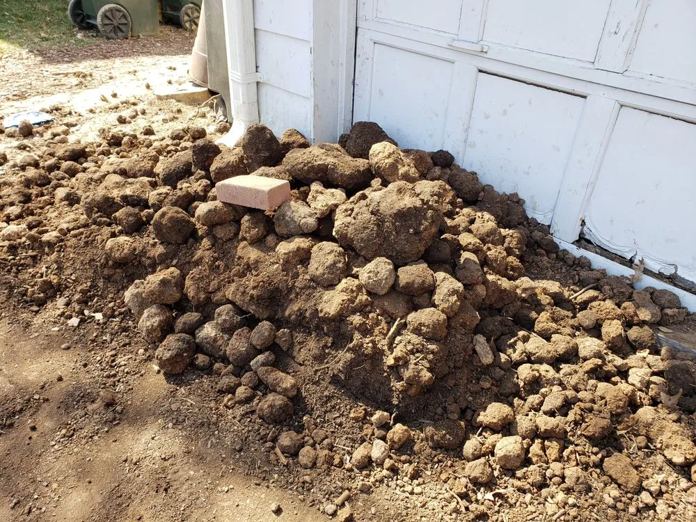 Custom yard cleanup service with custom design across Springfield, VA - Springfield Topsoil