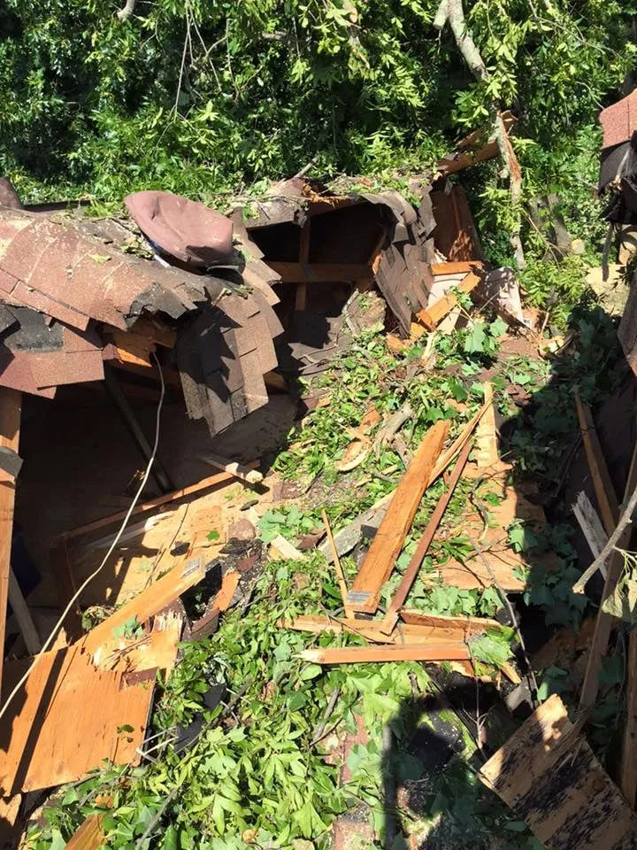 Reliable lawn mowing service in Malvern, PA - Springfield Tree & Land