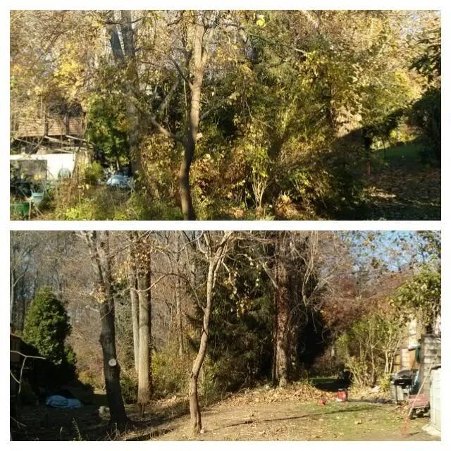 Local lawn mowing service experts serving Malvern, PA - Springfield Tree & Land