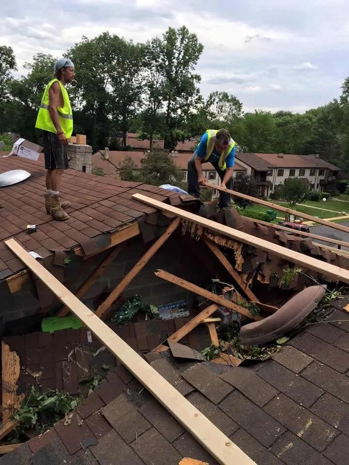 Trusted outdoor landscaping in Malvern, PA - Springfield Tree & Land