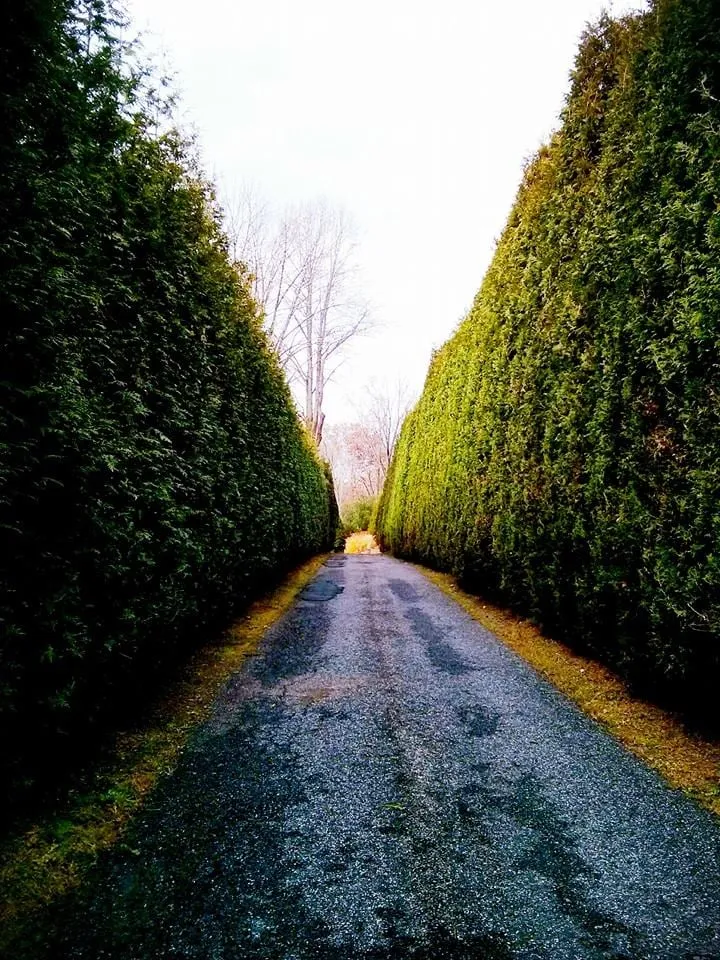 Expert landscaping services for homes in Malvern, PA by Springfield Tree & Land