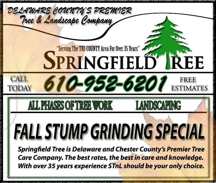 Affordable lawn care service experts serving Malvern, PA - Springfield Tree & Land