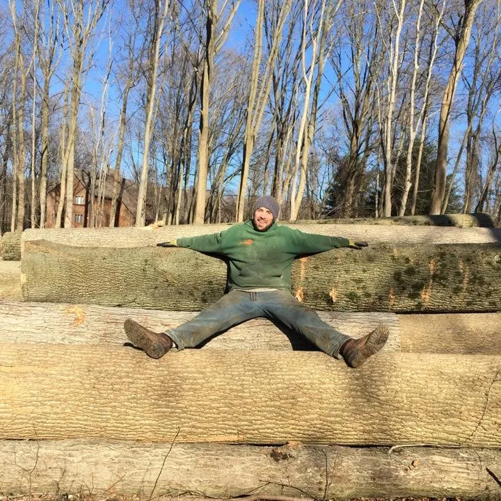 Expert yard cleanup service in Malvern, PA - Springfield Tree & Land