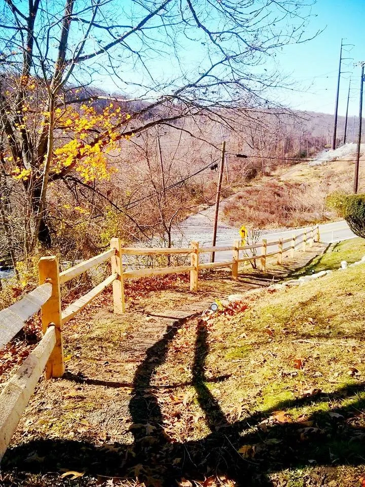 Trusted lawn mowing service with custom design across Malvern, PA - Springfield Tree & Land