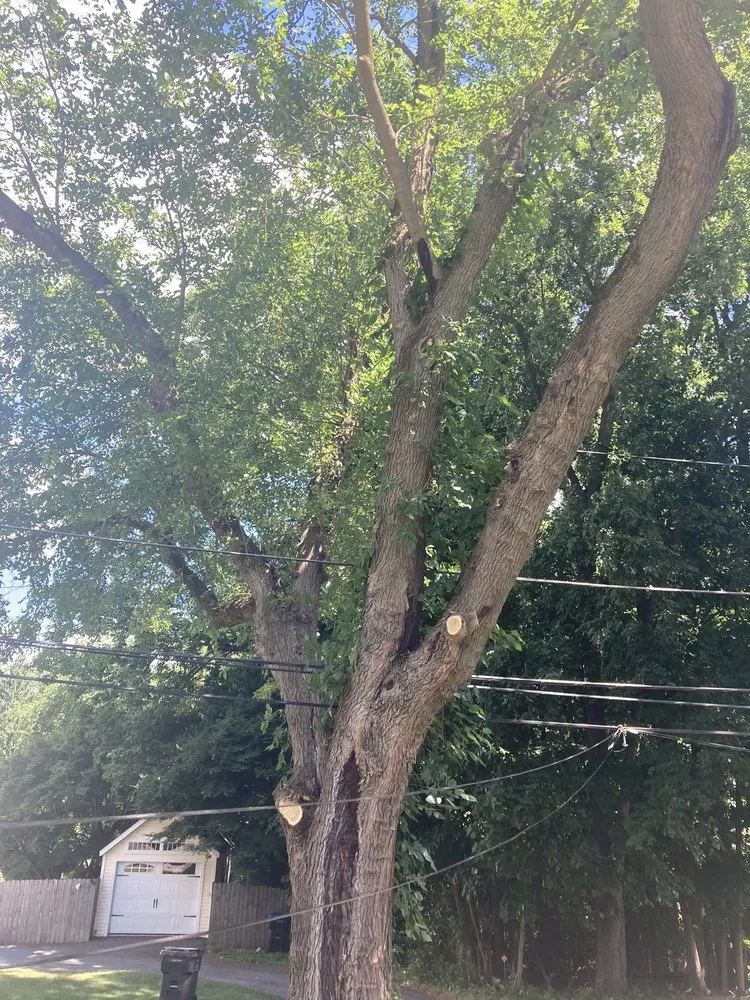 Professional garden landscaping for homes across Malvern, PA - Springfield Tree & Land