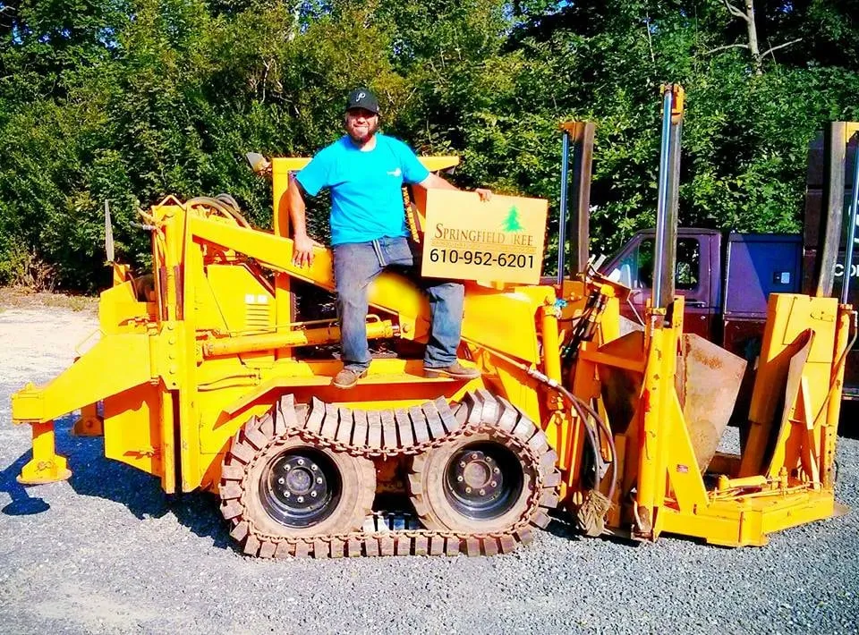 Expert garden landscaping for residential properties in Malvern, PA by Springfield Tree & Land