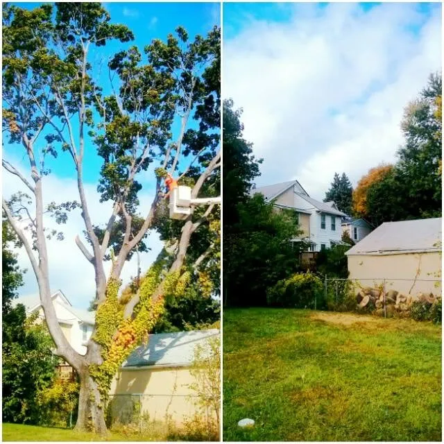 Trusted residential landscaping for homes in Malvern, PA by Springfield Tree & Land