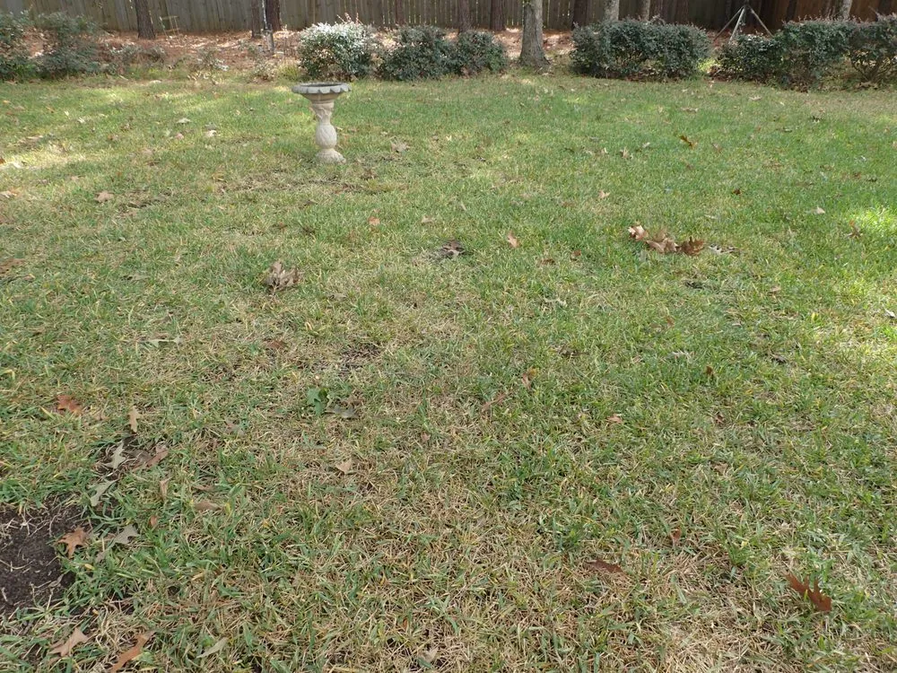 Professional landscaping services in Aiken, SC by SpringGreen