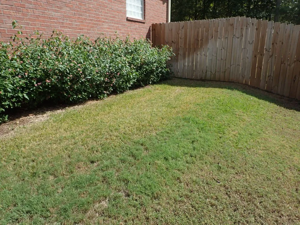 Expert lawn care service in Aiken, SC - SpringGreen