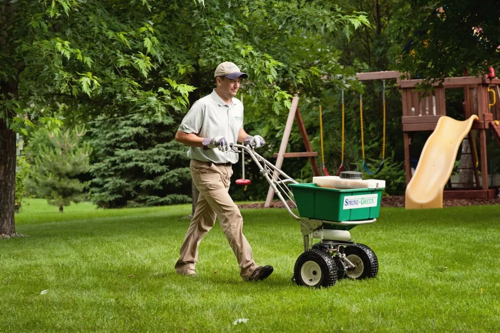 Reliable yard cleanup service in Bloomington, MN - SpringGreen