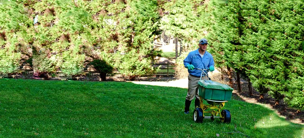 Professional residential landscaping in Cameron, WI by SpringGreen