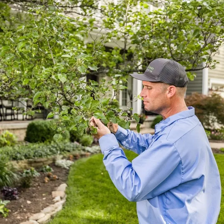 Trusted lawn care service in Cameron, WI - SpringGreen