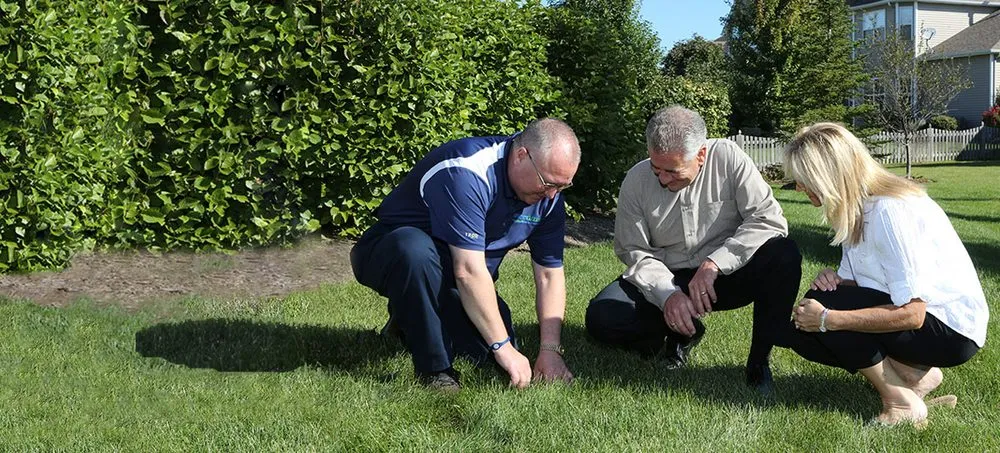 Reliable yard maintenance experts serving Cameron, WI - SpringGreen