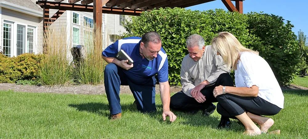 Reliable garden landscaping in Chantilly, VA - SpringGreen