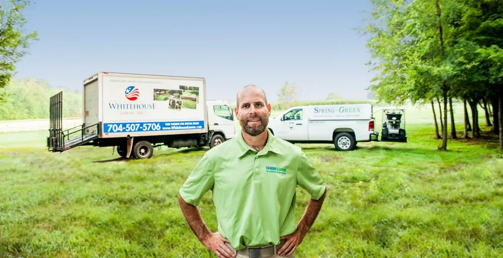 Trusted outdoor landscaping with custom design across Charlotte, NC - SpringGreen