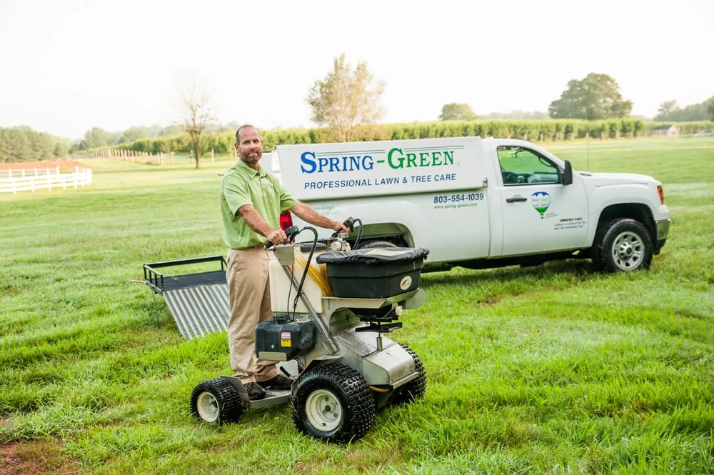 Expert residential landscaping for outdoor upgrades in Charlotte, NC by SpringGreen
