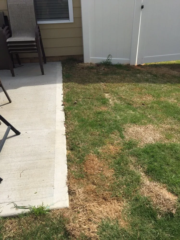 Trusted landscape installation for beautiful yards in Charlotte, NC by SpringGreen