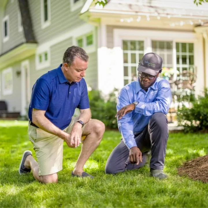 Expert lawn care service for outdoor upgrades across Charlotte, NC - SpringGreen