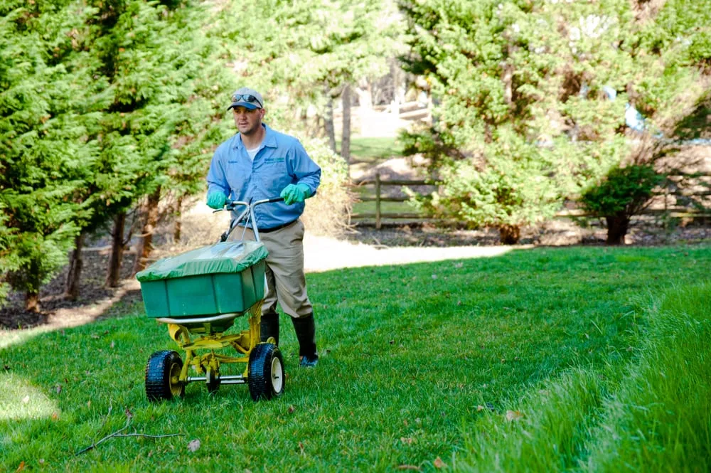 Trusted landscape installation experts serving Claymont, DE - SpringGreen