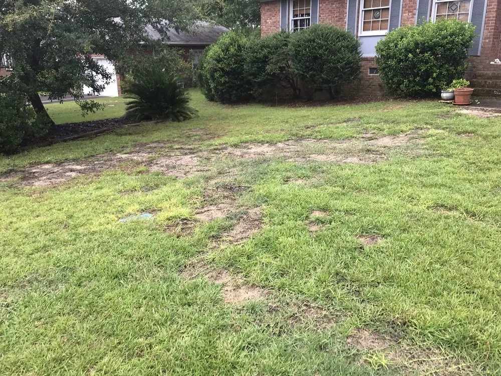 Custom outdoor landscaping in Columbia, SC by SpringGreen