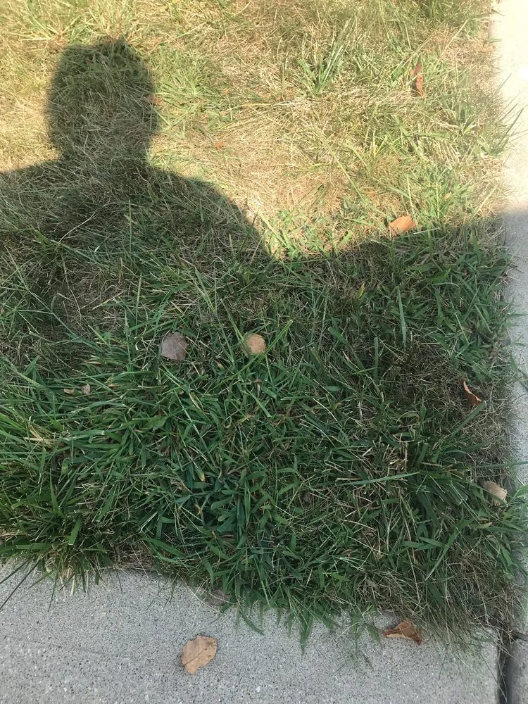 Local garden landscaping in Columbus, IN by SpringGreen