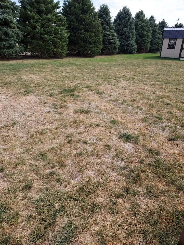 Expert lawn care service experts serving Decatur, IL - SpringGreen