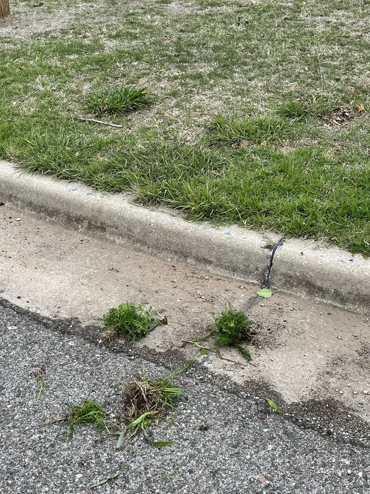 Affordable outdoor landscaping in Edmond, OK by SpringGreen