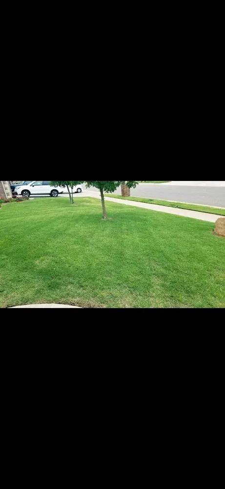 Trusted landscape design in Edmond, OK - SpringGreen