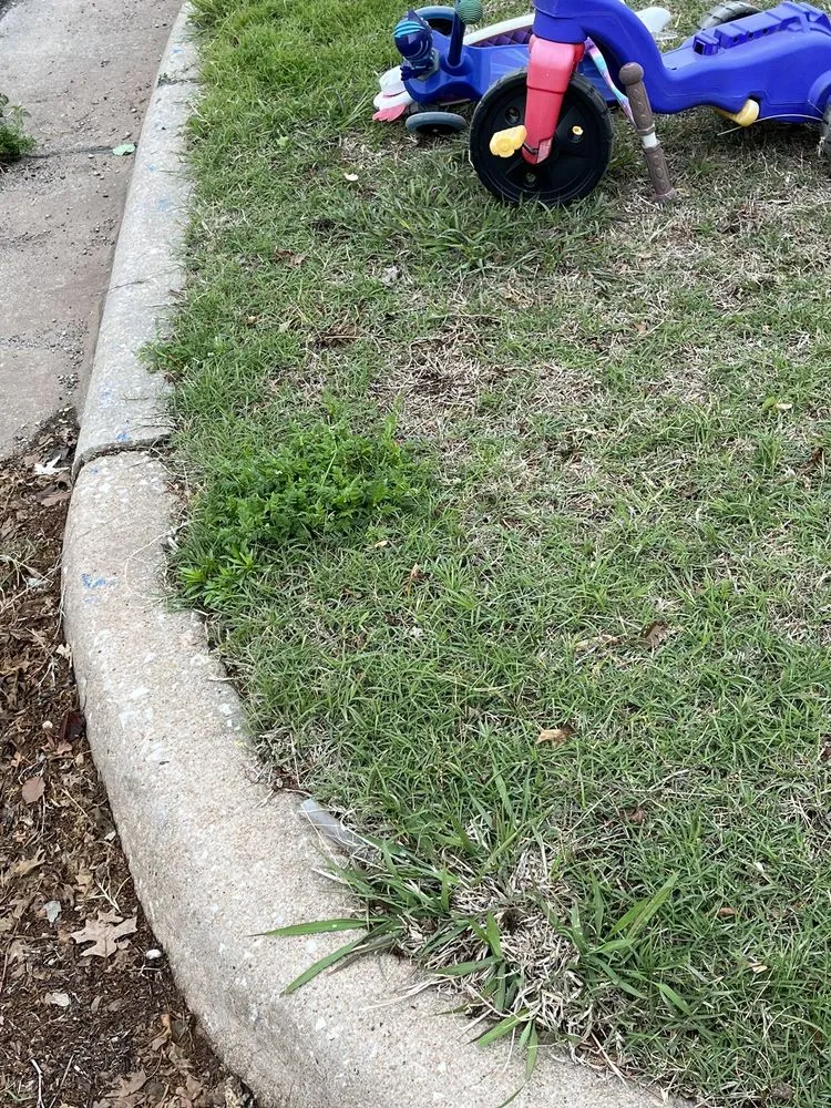 Expert lawn care service in Edmond, OK - SpringGreen