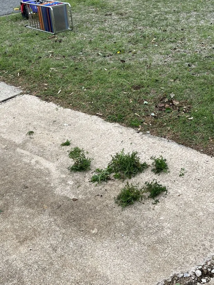 Top-rated outdoor landscaping for beautiful yards across Edmond, OK - SpringGreen