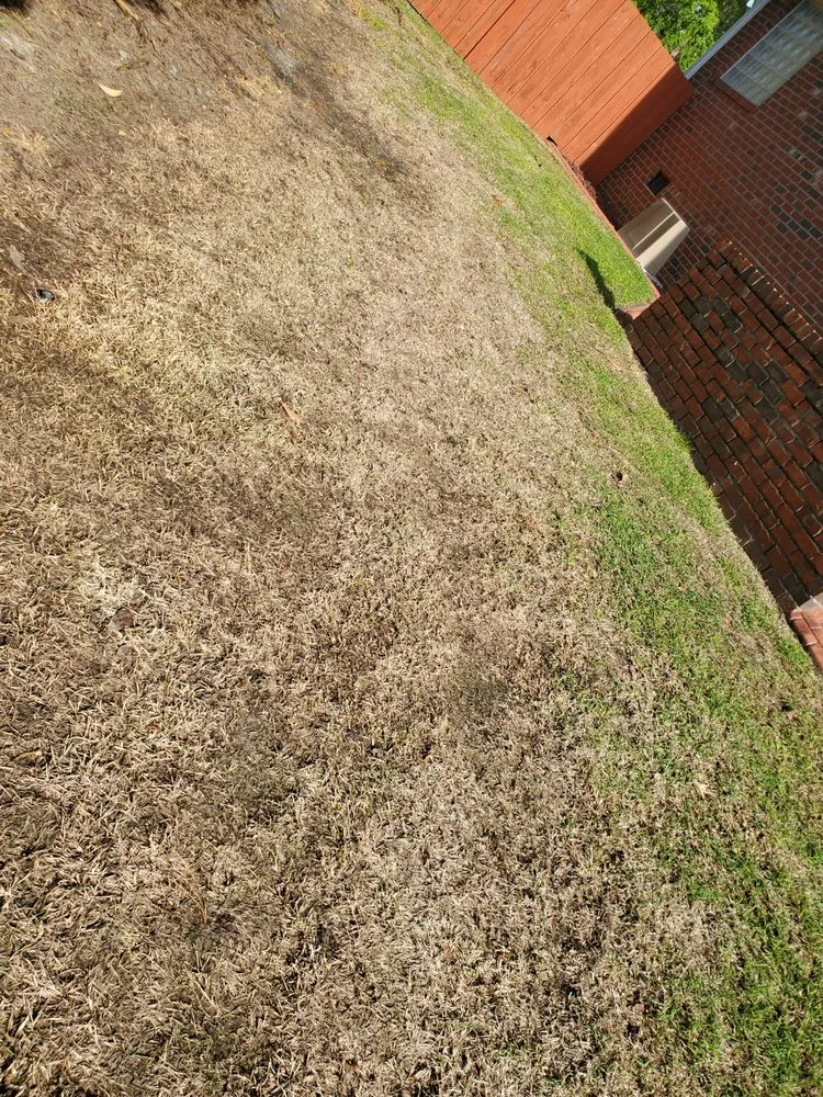 Affordable landscape design in Fayetteville, NC by SpringGreen