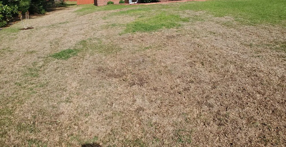 Local lawn mowing service for residential properties across Fayetteville, NC - SpringGreen