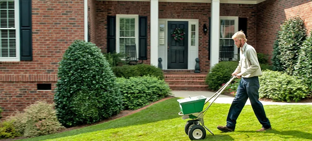 Reliable landscape installation in Fredericksburg, VA - SpringGreen