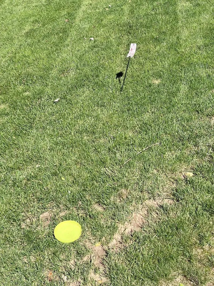 Custom lawn mowing service near you in Green Bay, WI by SpringGreen