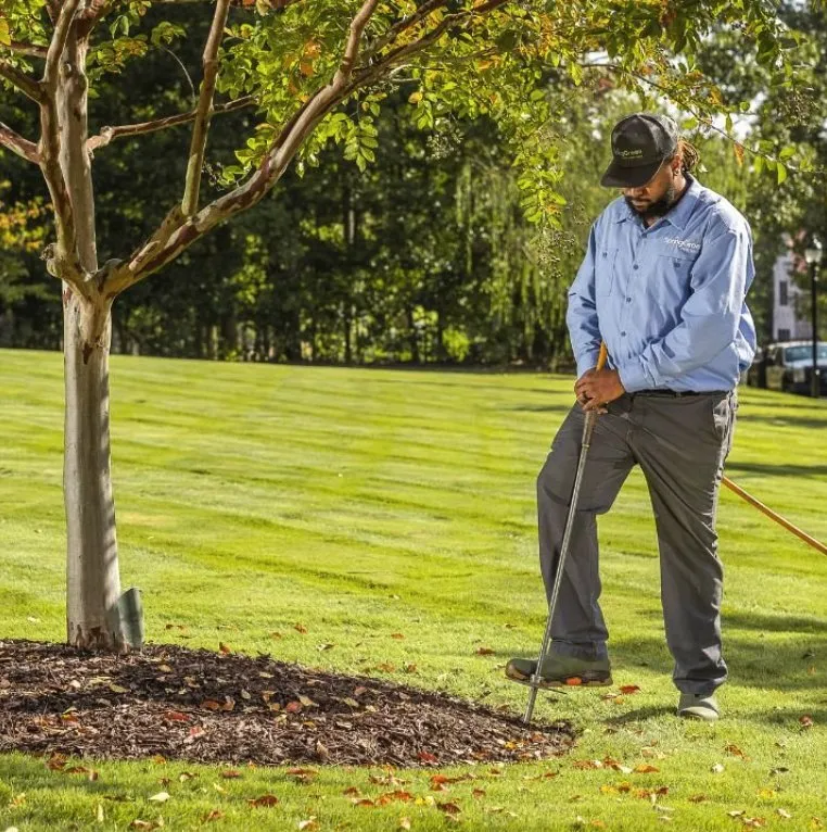 Affordable landscaping services for residential properties across Hampton, VA - SpringGreen