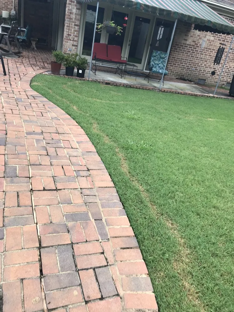 Professional landscape design in Hampton, VA - SpringGreen