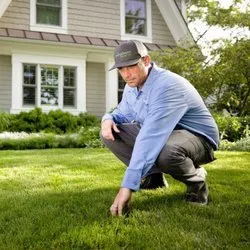 Affordable garden landscaping for outdoor upgrades in Huger, SC by SpringGreen