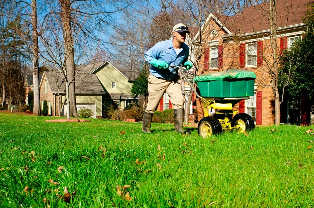 Trusted garden landscaping experts serving Huntersville, NC - SpringGreen