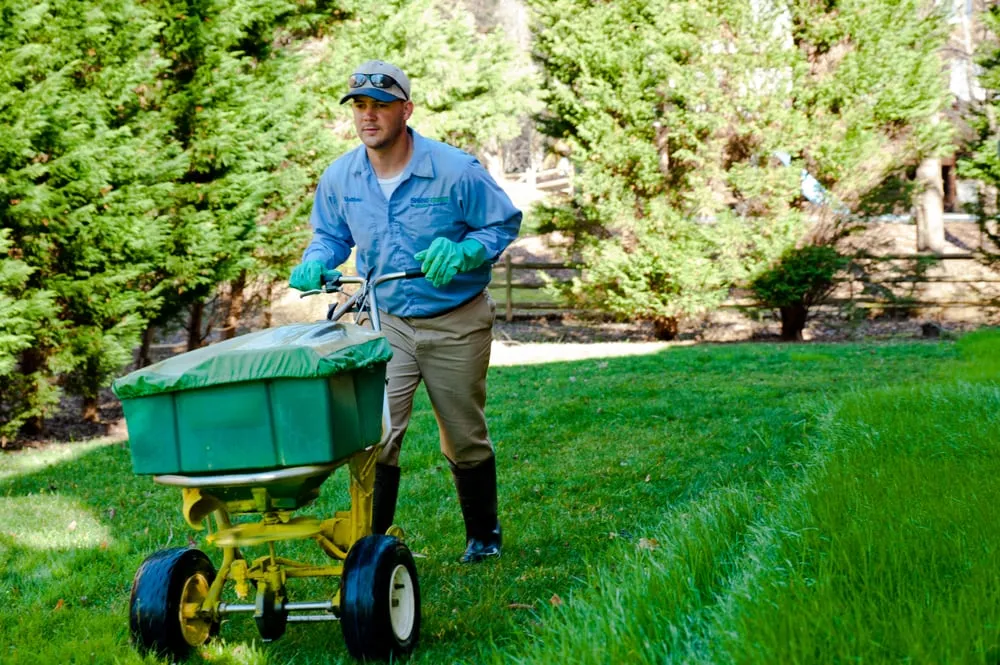 Expert outdoor landscaping in Huntersville, NC - SpringGreen