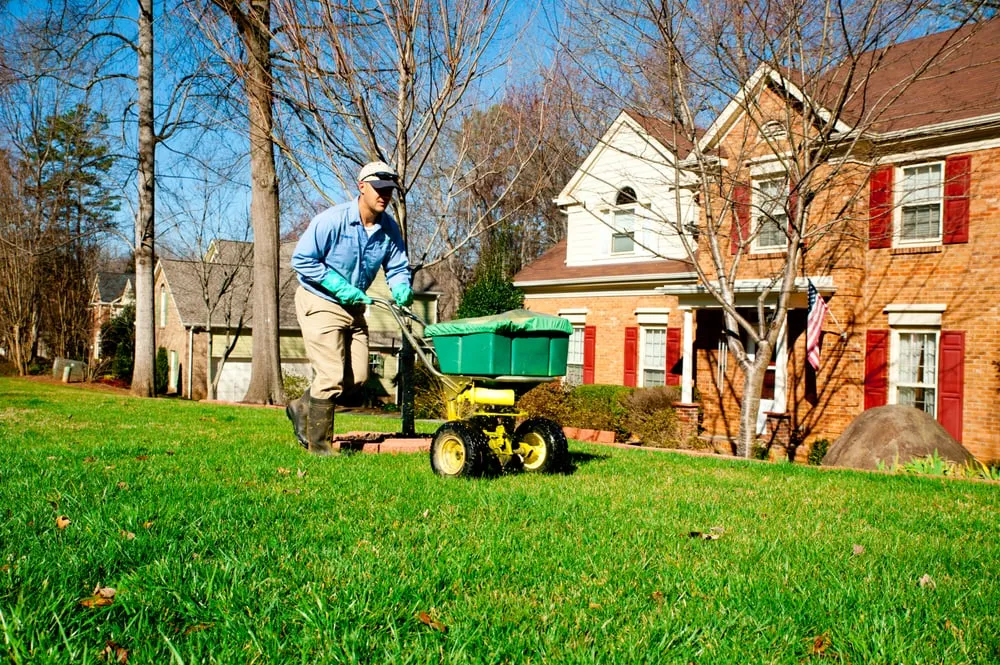 Reliable yard maintenance for year-round maintenance across Huntersville, NC - SpringGreen