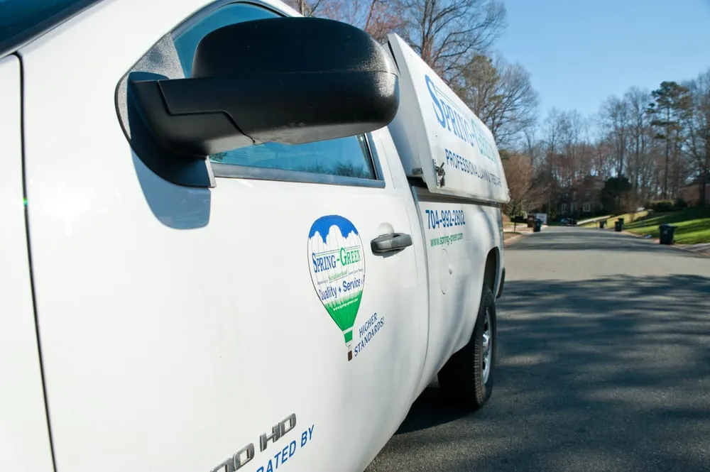 Top-rated yard cleanup service for outdoor upgrades across Huntersville, NC - SpringGreen