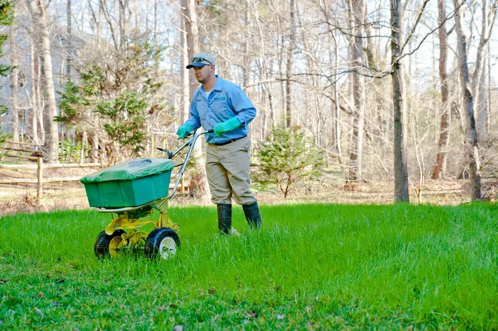 Top-rated landscape installation experts serving Huntersville, NC - SpringGreen